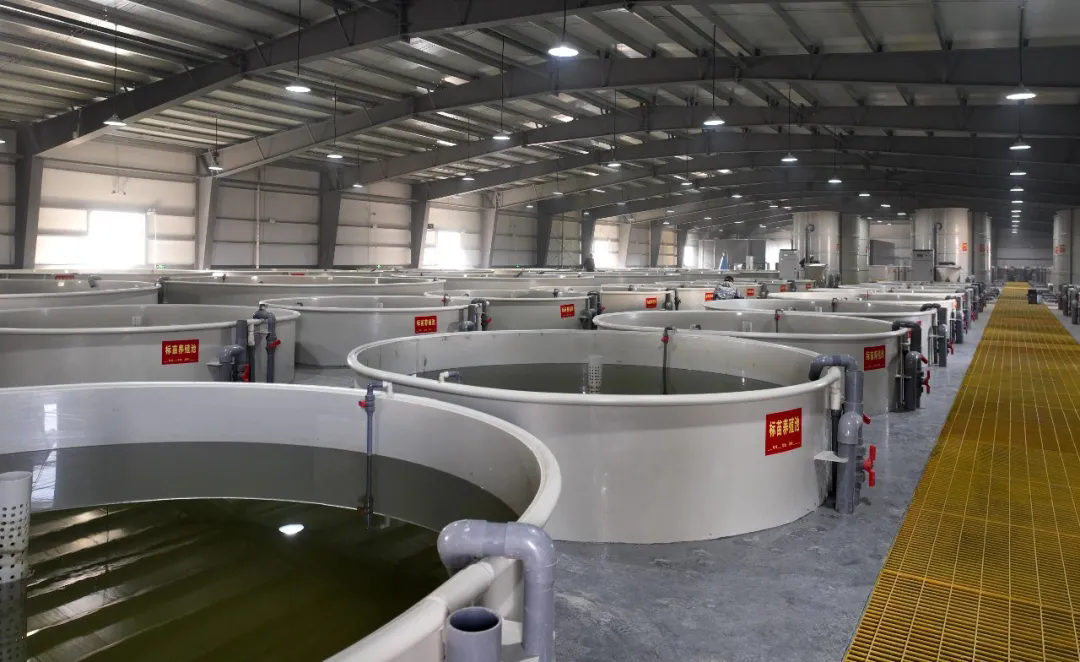 我公司采桑湖现代水产融合发展示范园承接全市重大产业项目观摩会现场点