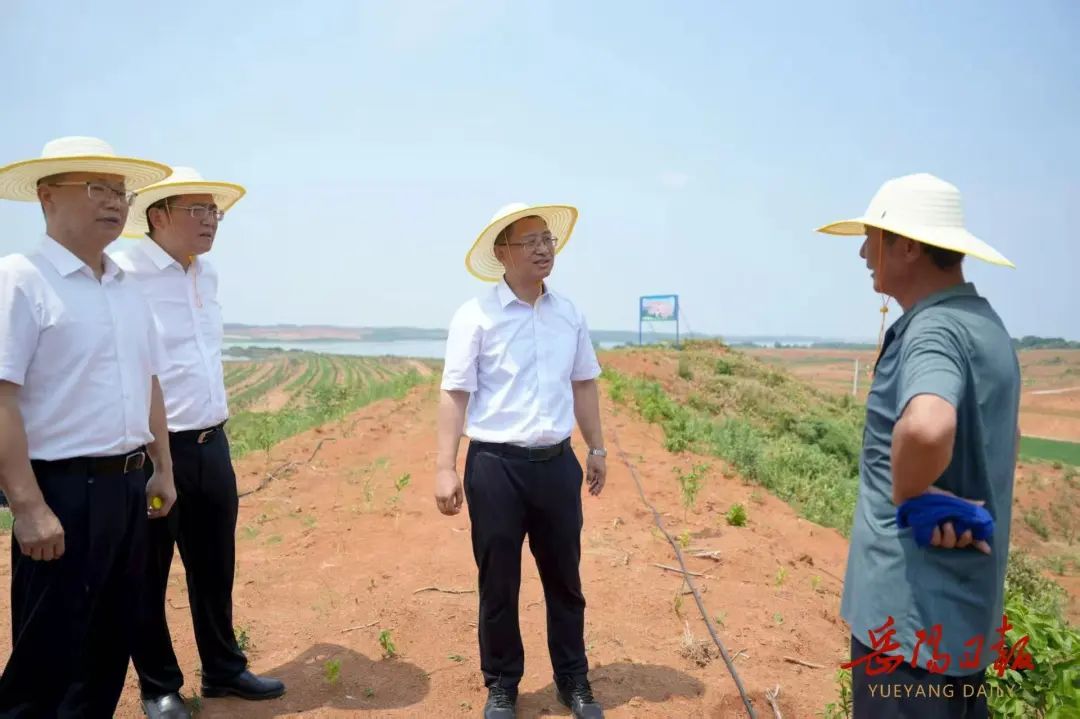 谢卫江开展“十五五”规划专题调研