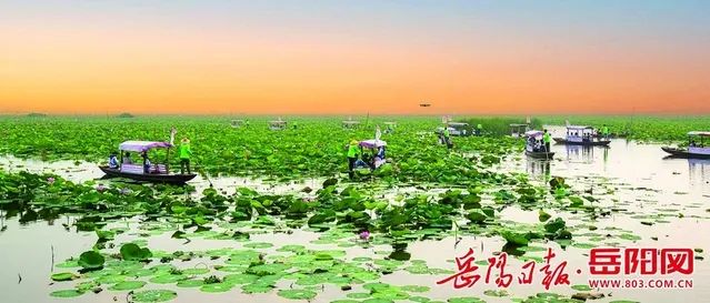 岳阳日报头版|一条鱼的身价,有多大的升值空间?