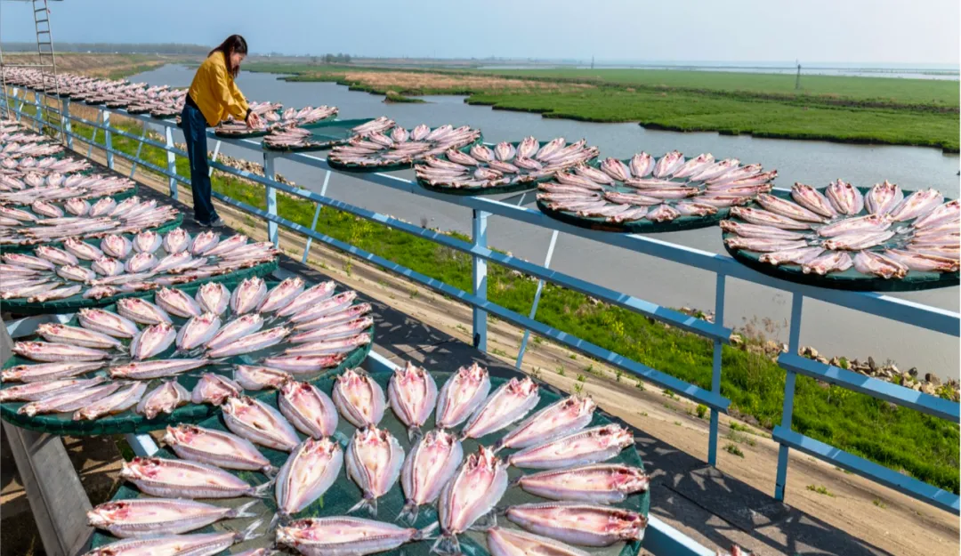 获批筹建!岳阳入选的是→