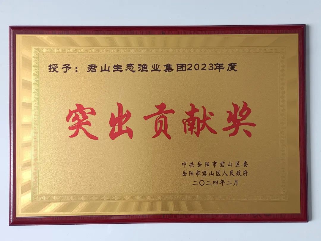 捷报频传,公司荣获全区多项荣誉称号