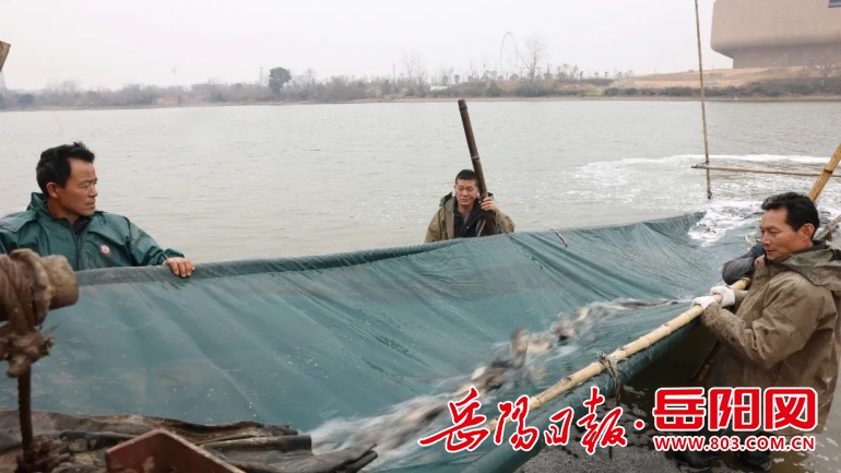 君山区:“一湖一策” 精准投放