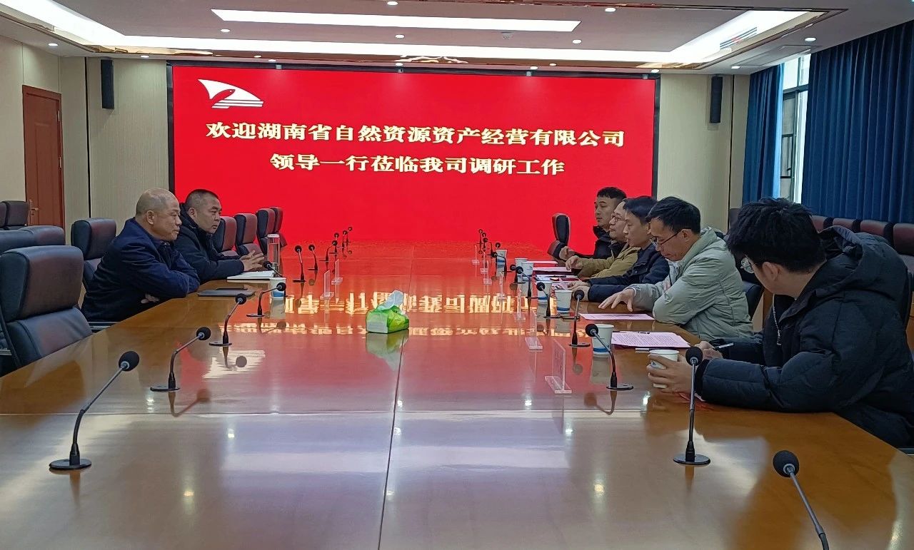 湖南省自然资源资产经营有限公司领导莅临我司调研交流