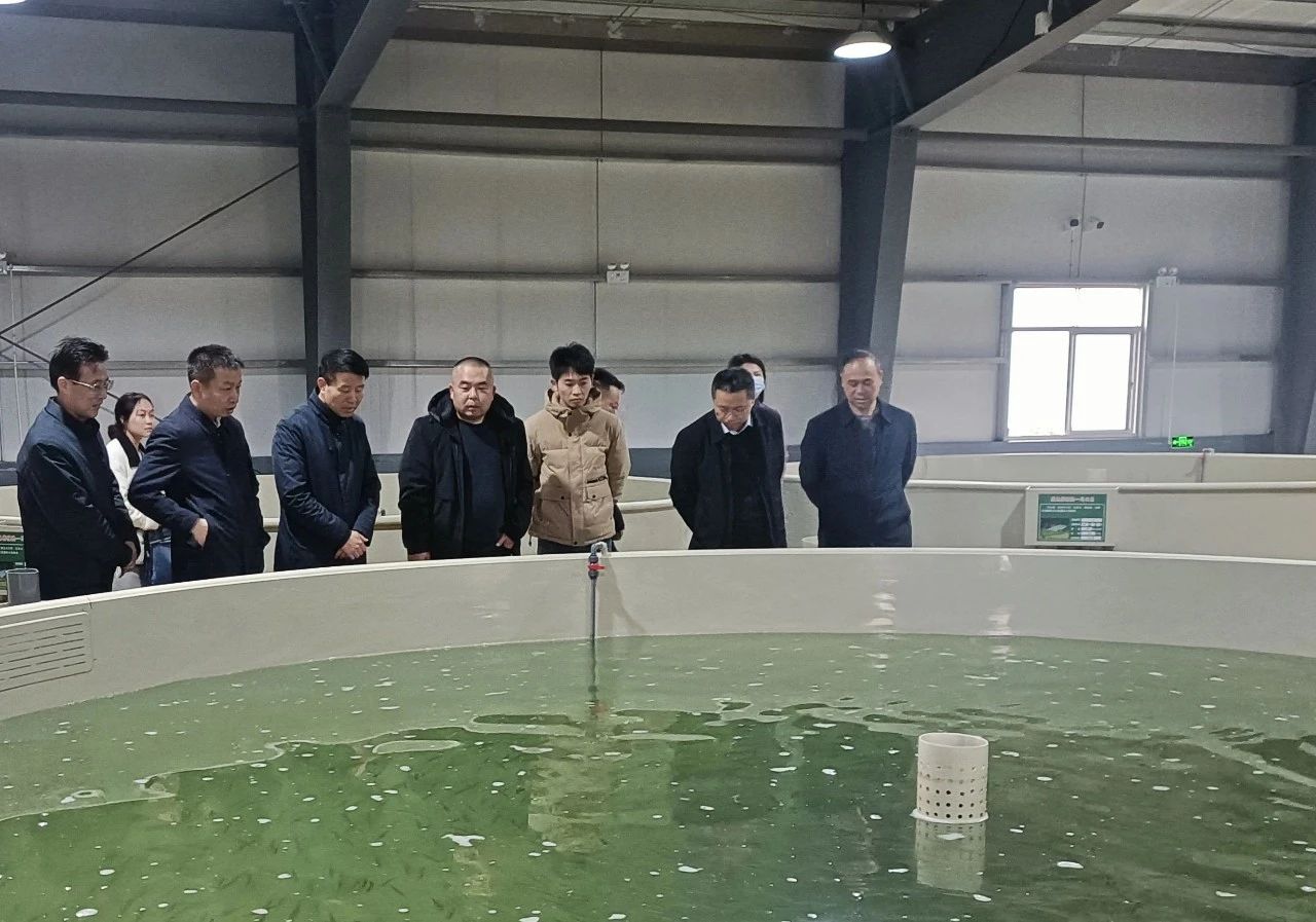 屈原管理区党委书记向科军率队考察我公司采桑湖现代水产融合发展示范园